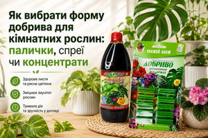 Як вибрати форму добрива для кімнатних рослин: палички, спреї чи концентрати