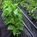 Агроволокно 50 г/м&sup2;, 1.07&times;100 м черно-белое с перфорацией Shadow 3 отверстия