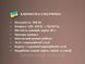 Кофемолка электрическая 220В 300Вт BITEK BT-7113
