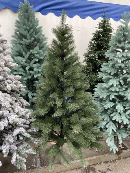 Карпатська Смерека лита The Carpathian Spruce № 5 висота 2,3 м якісна, Святкова новорічна ялинка