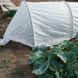 Агроволокно 19 г/м&sup2; 1,6 &times; 50 м Shadow (Чехія) 4% білий спанбонд для городу