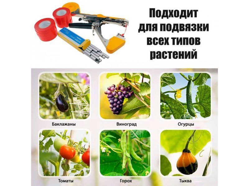 Степлер для підв&rsquo;язки винограду (посилений) TAPETOOL